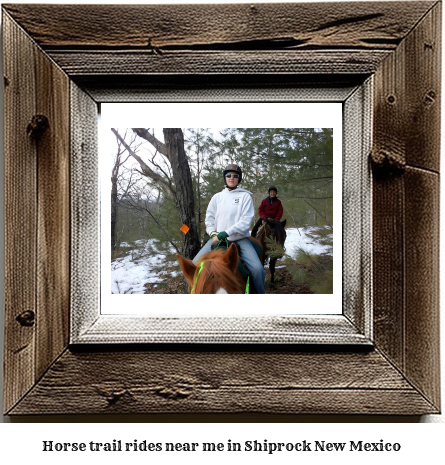 horse trail rides near me in Shiprock, New Mexico